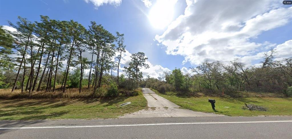 A paved driveway leads from a road into a wooded, undeveloped lot with tall pine trees — COMMONWEALTH AVENUE N, POLK CITY, FL