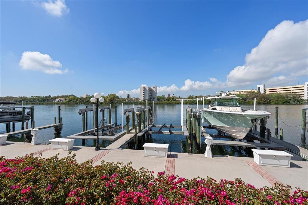 A boat lift with a docked boat sits along a concrete pier near flowering bushes — 0 SEDDON COVE WAY UNIT 19, TAMPA, FL