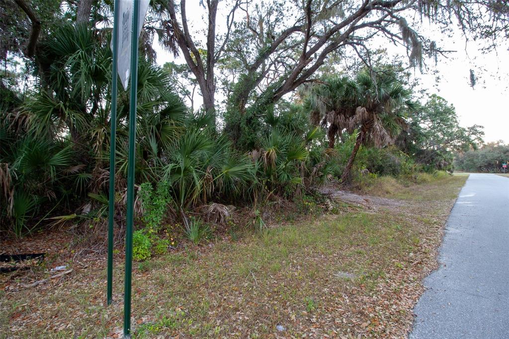 A paved road runs alongside a wooded lot with dense vegetation and tall trees — 15038 CRESENT AVENUE, PORT CHARLOTTE, FL
