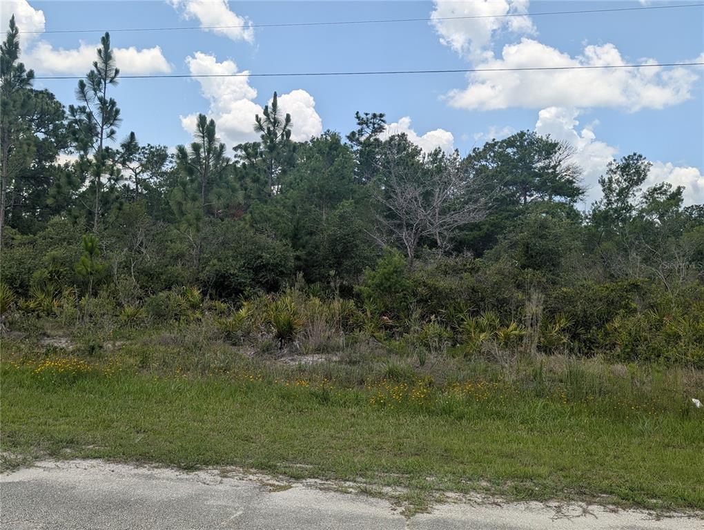 A grassy roadside leads to a dense, wooded lot under a blue sky — CORAL GABLES DRIVE, INDIAN LAKE ESTATES, FL