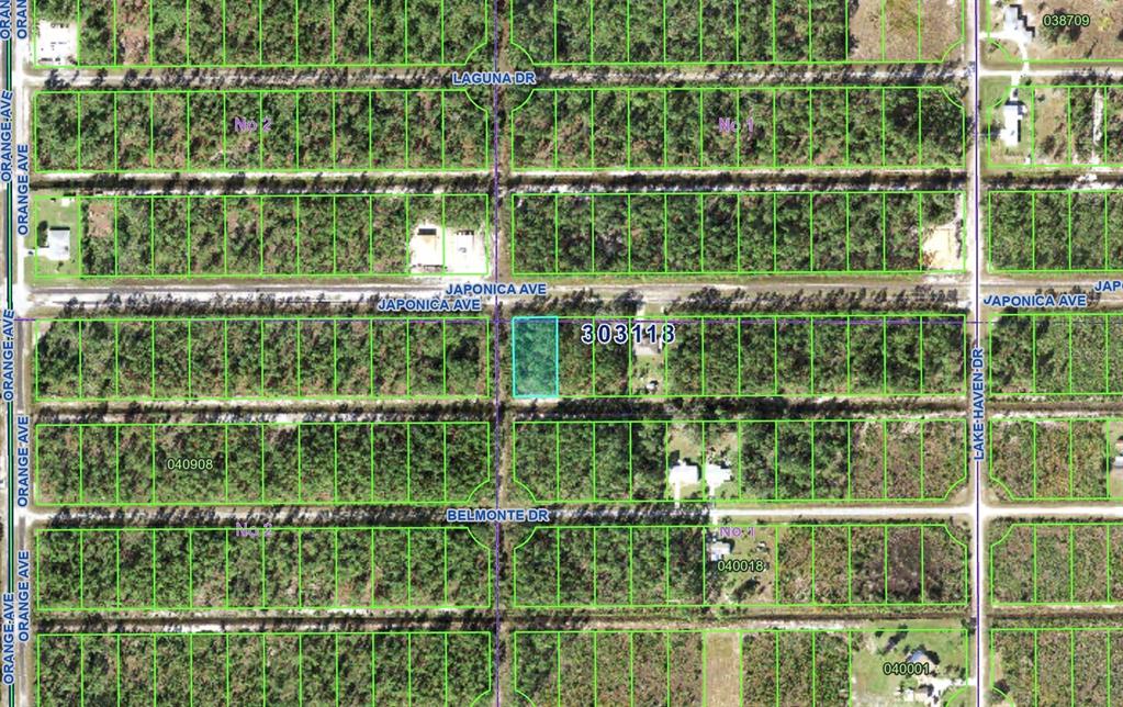 This is an aerial map view showing a highlighted rectangular land parcel among wooded lots — 623 JAPONICA AVENUE, INDIAN LAKE ESTATES, FL