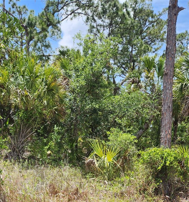 A view of dense Florida vegetation including pine trees, palmettos, and various shrubs — INVERNESS STREET, NORTH PORT, FL