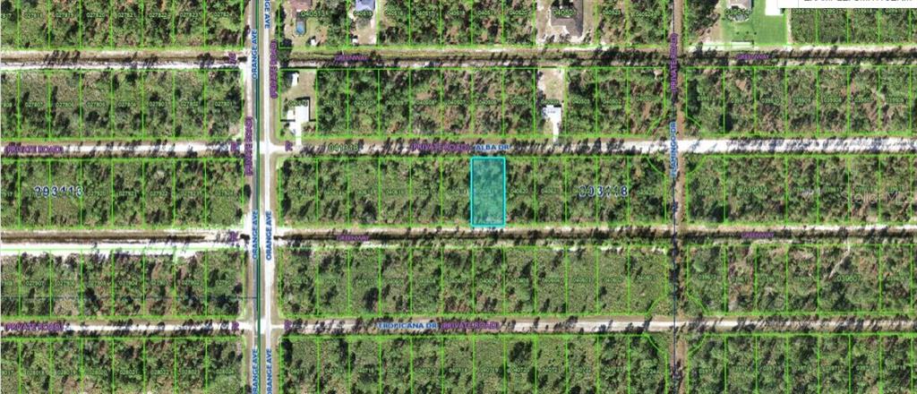 This is an aerial map showing a rectangular parcel of land highlighted in blue — 711 ALBA DRIVE, INDIAN LAKE ESTATES, FL