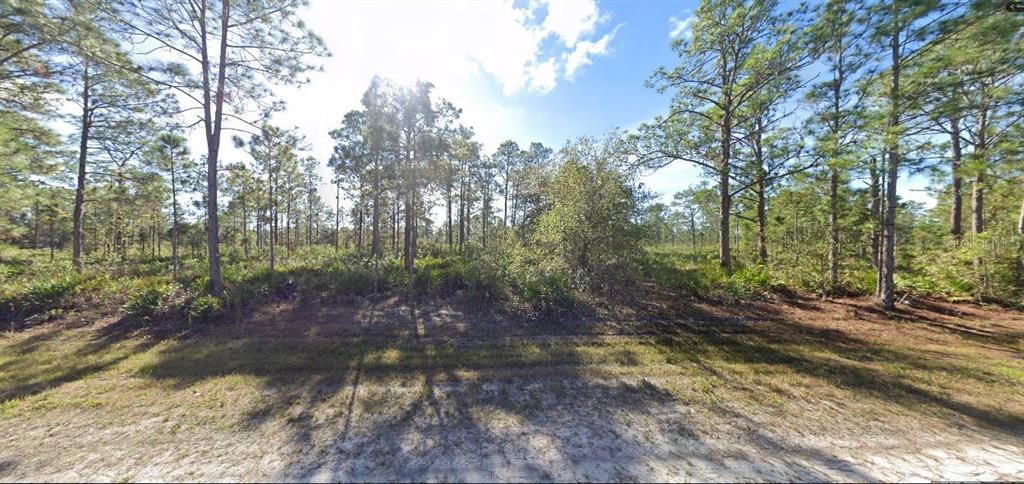 A vacant, wooded lot features sandy ground and numerous pine trees under a sunny sky — 711 ALBA DRIVE, INDIAN LAKE ESTATES, FL