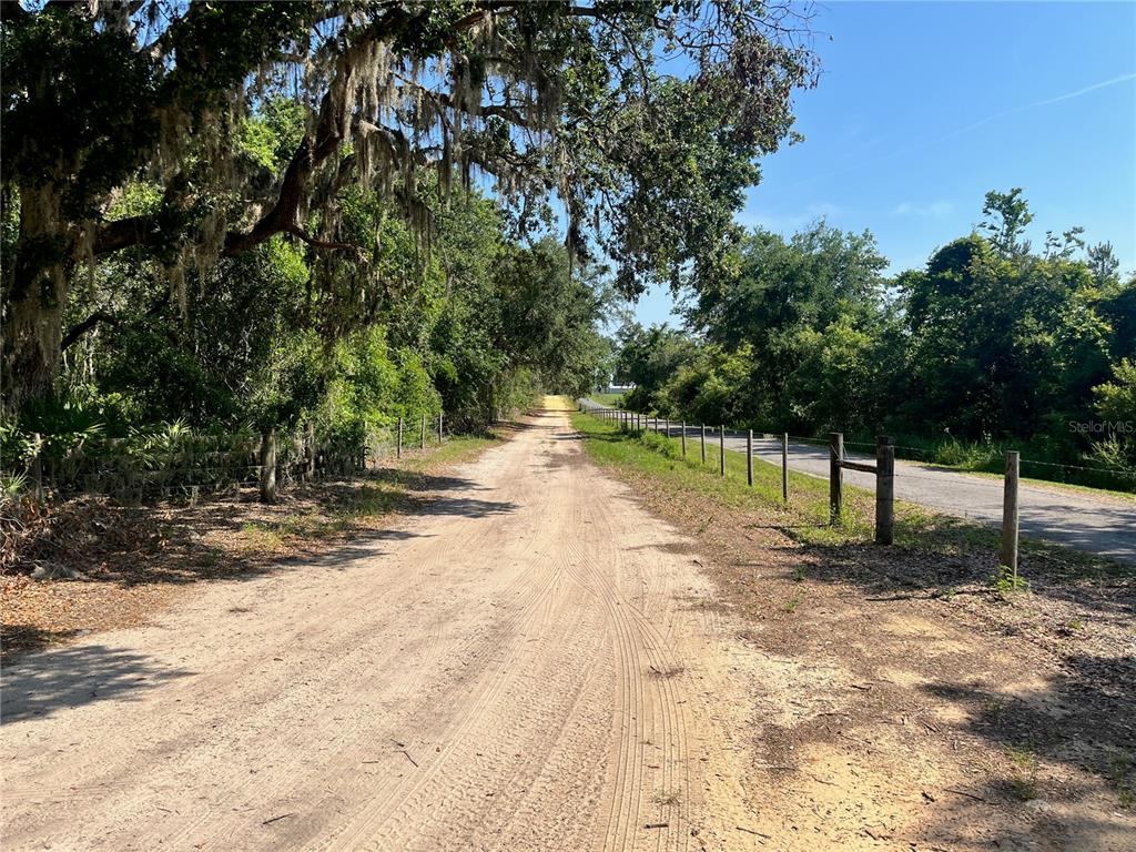 A dirt road runs alongside a wooded lot with mature trees draped in Spanish moss — 2 SENDCASTLE DRIVE, GROVELAND, FL