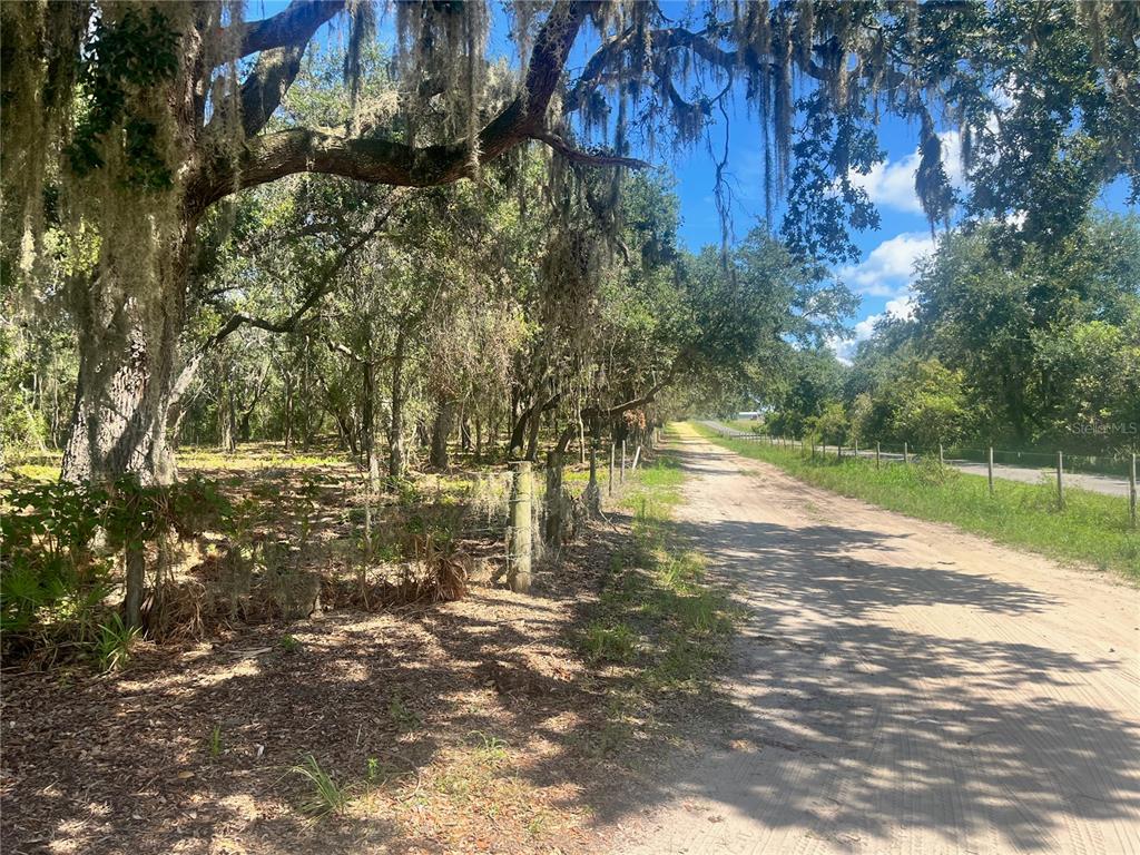 A dirt road runs alongside a wire fence bordering a dense, wooded area — 2 SENDCASTLE DRIVE, GROVELAND, FL