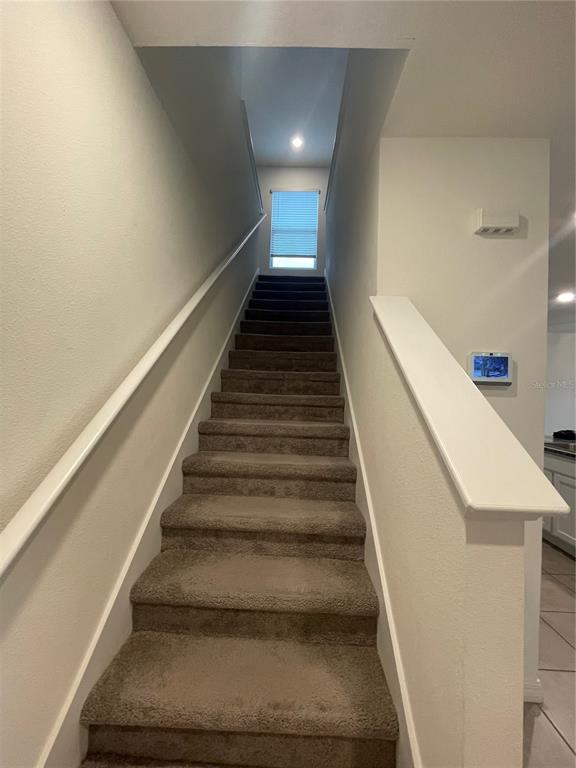A carpeted staircase leads upward toward a window at the top of the landing — 33952 JASPER STONE DRIVE, WESLEY CHAPEL, FL
