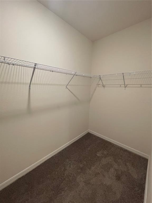 A walk-in closet with white wire shelving and brown carpeted flooring — 33952 JASPER STONE DRIVE, WESLEY CHAPEL, FL