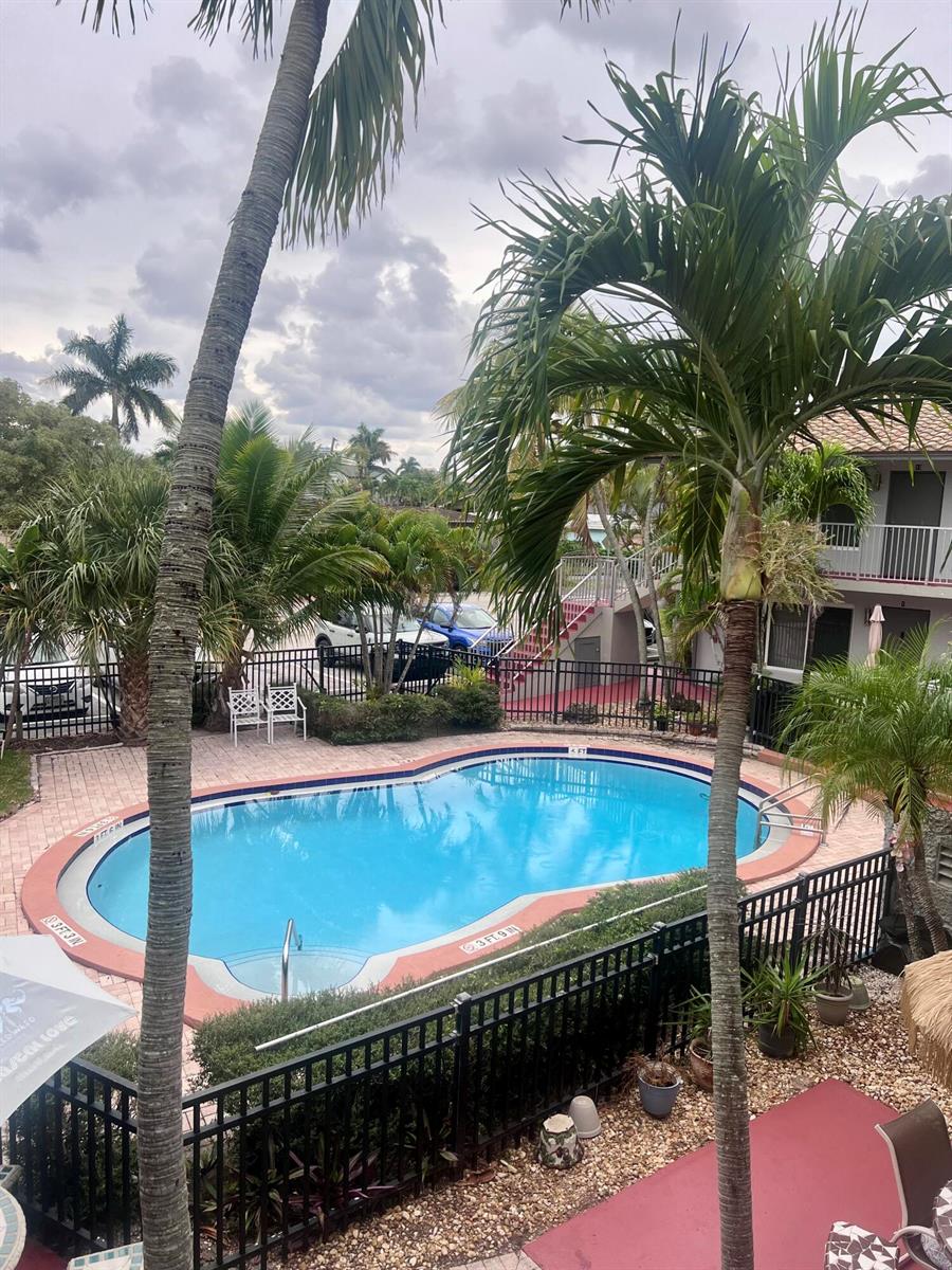 An elevated view of a swimming pool surrounded by palm trees and a residential building — 915 SE 22nd Avenue, Pompano Beach FL 33062, POMPANO BEACH, FL