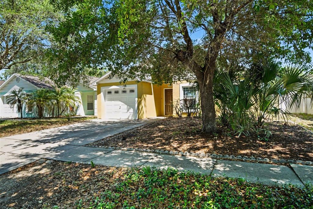 A yellow single-story house with a white garage door sits behind a large tree — 2424 CAMDEN OAKS PLACE, VALRICO, FL