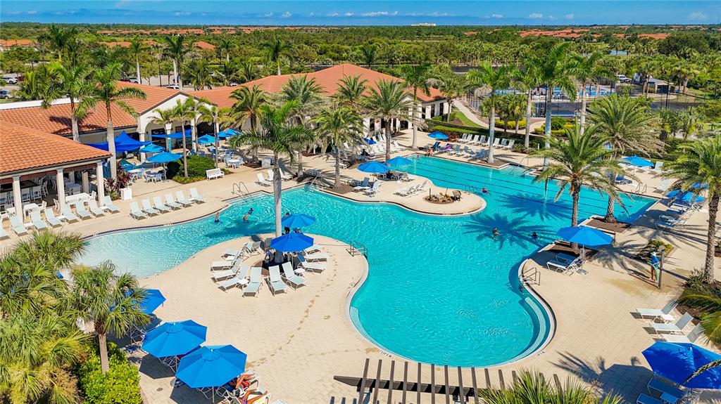 An aerial view of a large swimming pool with lounge chairs and blue umbrellas — 24137 SPARTINA DRIVE, VENICE, FL