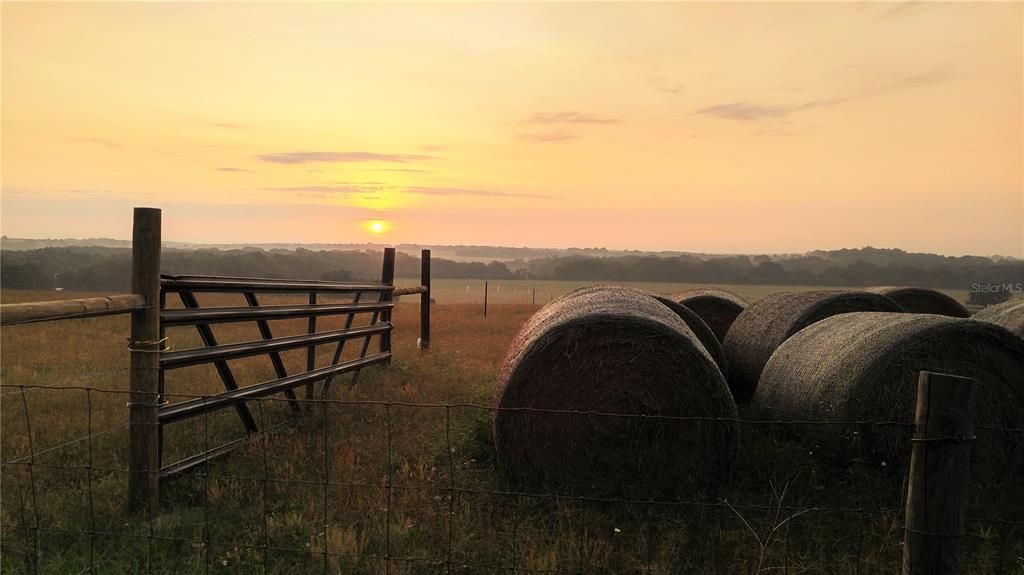 A rural field with hay bales and a metal gate at sunset — 8608 GALL BOULEVARD, ZEPHYRHILLS, FL