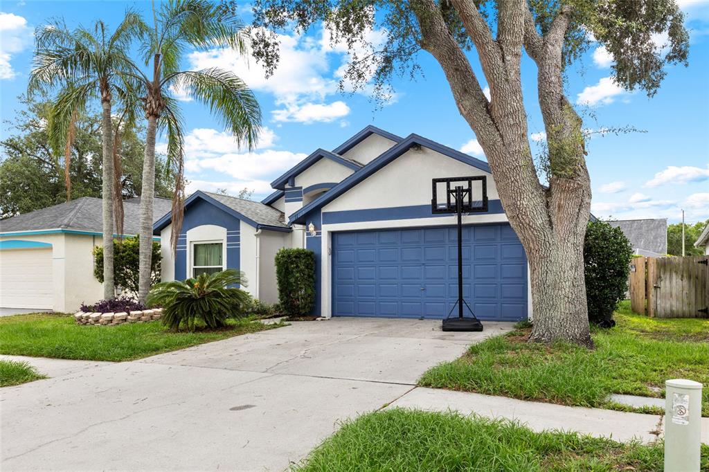 A single-story house with a blue garage door, a basketball hoop, and a palm tree — 11019 CONNACHT WAY, TAMPA, FL