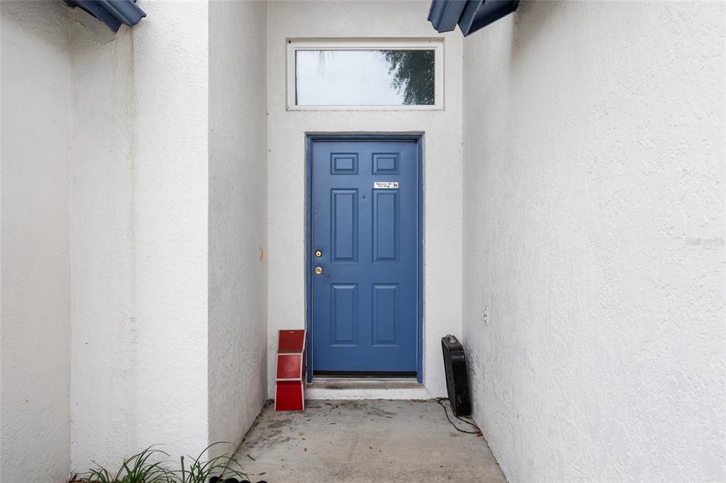 A blue front door with a transom window is set within a white stucco entryway — 11019 CONNACHT WAY, TAMPA, FL