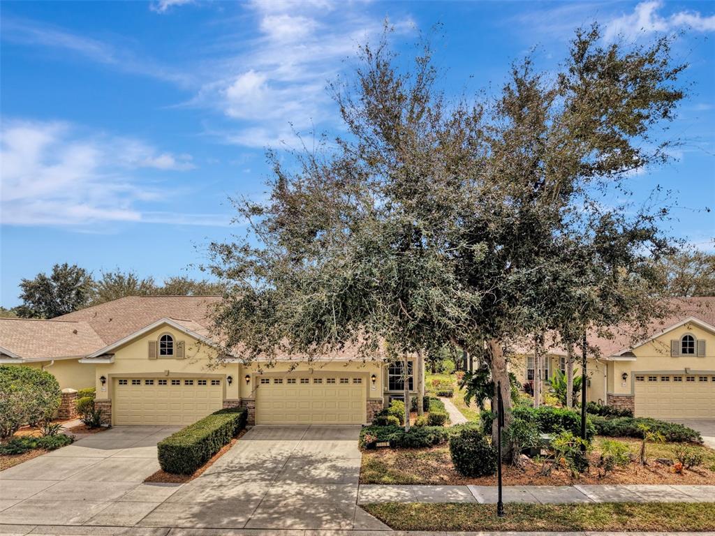 A view of a tan, single-story suburban house with two garage doors and a large tree — 9367 CARNABY DRIVE, VENICE, FL