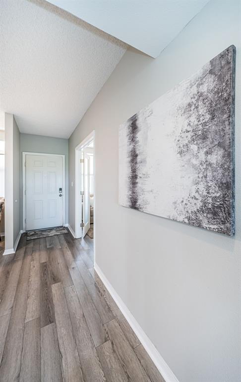 A hallway with wood-look flooring, a white front door, and a large abstract wall canvas — 6450 SHORELINE DRIVE UNIT 9203, ST PETERSBURG, FL