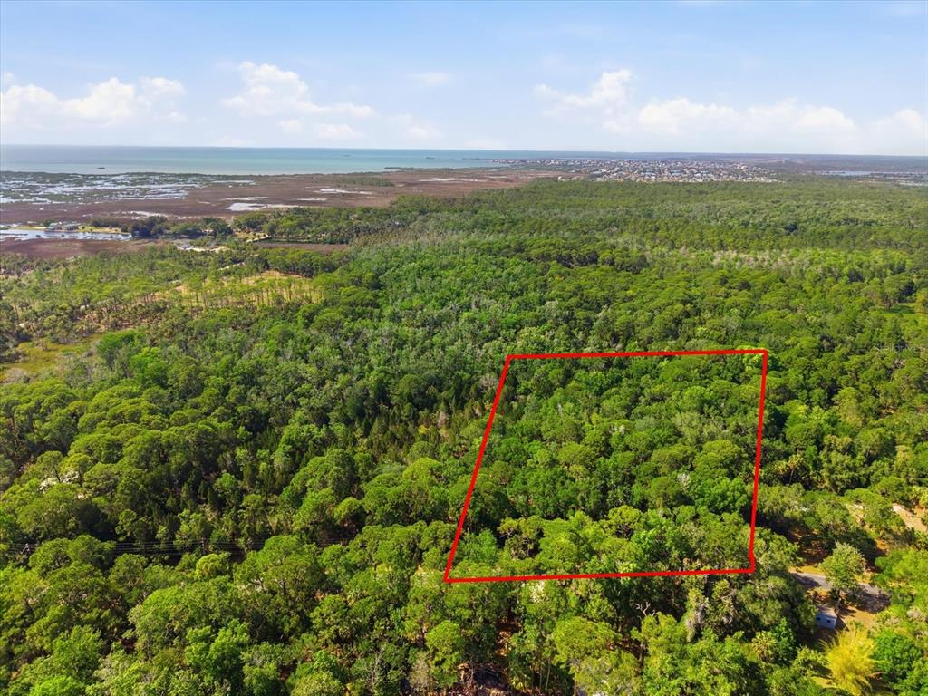 An aerial view shows a rectangular plot of land outlined in red amidst dense forest — OSOWAW BOULEVARD, SPRING HILL, FL