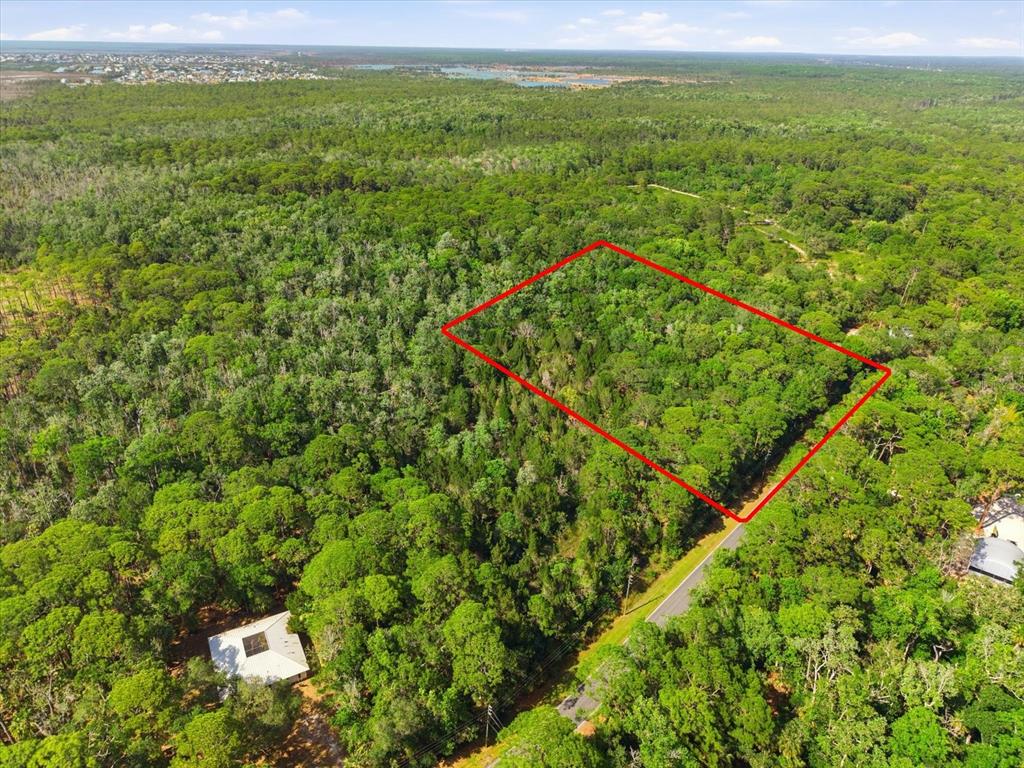 An aerial view shows a rectangular plot of land outlined in red amidst dense forest — OSOWAW BOULEVARD, SPRING HILL, FL