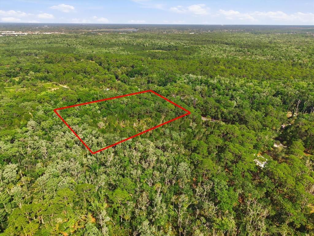 An aerial view shows a rectangular plot of land outlined in red amidst dense forest — OSOWAW BOULEVARD, SPRING HILL, FL