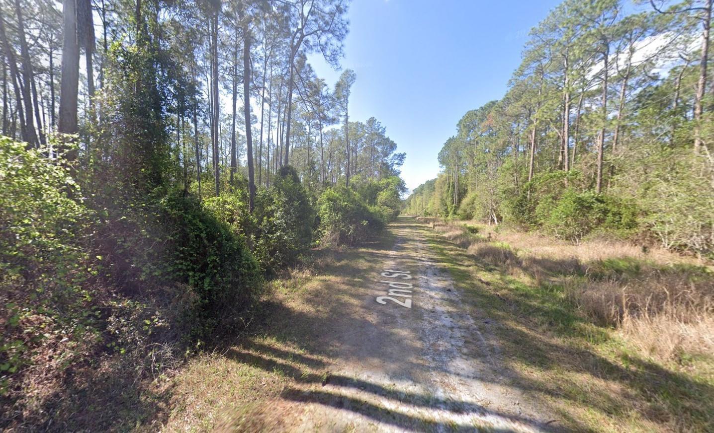A dirt path leads through a wooded area with tall pine trees on both sides — 210 SE 2nd Street, FL 32139, FL