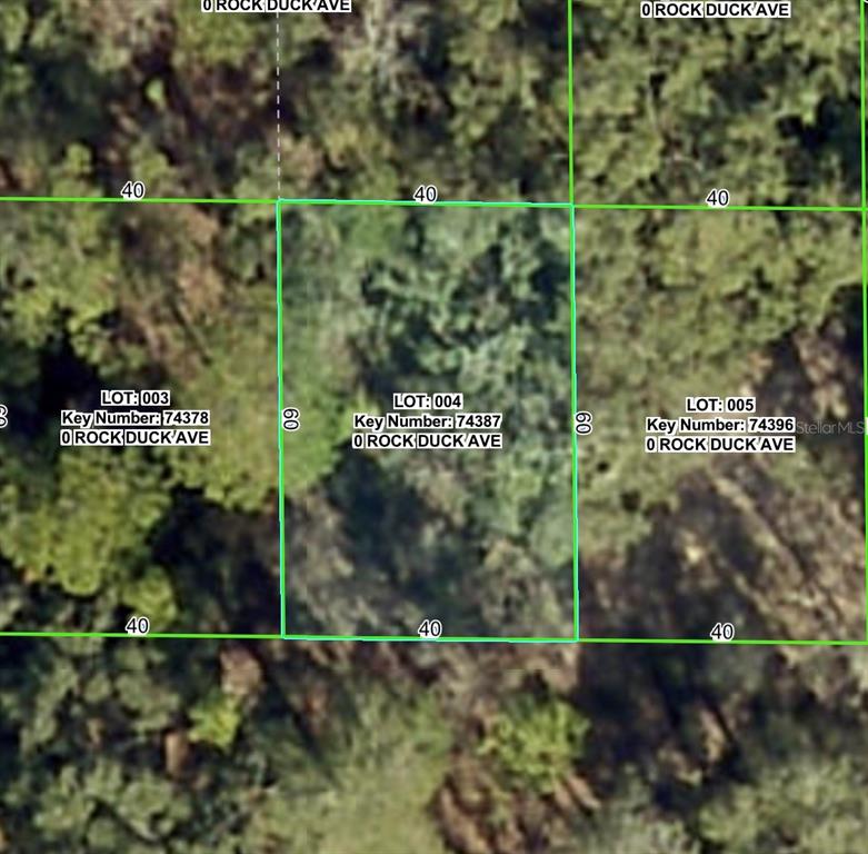 This is a map showing three adjacent rectangular land lots with dimensions labeled — ROCK DUCK AVENUE, BROOKSVILLE, FL