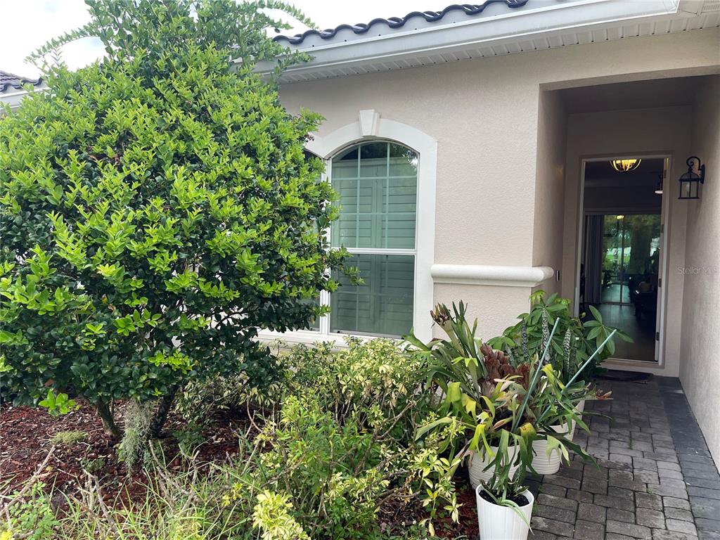 A view of a house exterior featuring a large bush, potted plants, and an entryway — 2821 PLYMOUTH PLACE, KISSIMMEE, FL