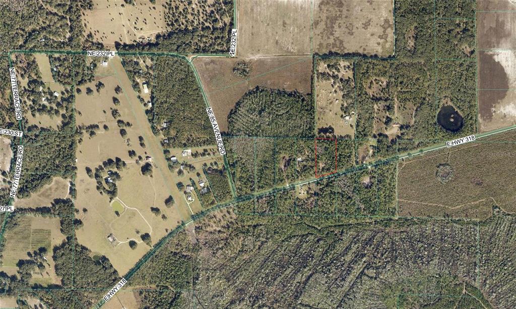 8798 E HIGHWAY 318, CITRA, FL — photo 4 of 13