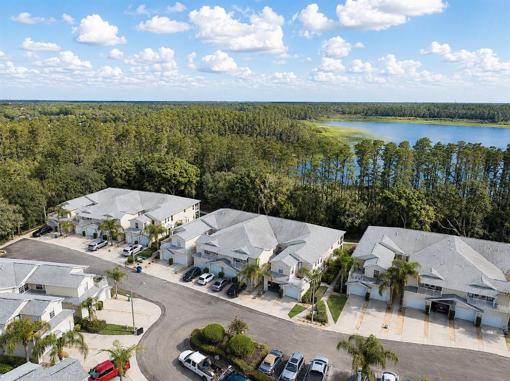 An aerial view shows several multi-unit townhomes with gray roofs near a forest and lake — 1651 HAMMOCKS AVENUE, LUTZ, FL
