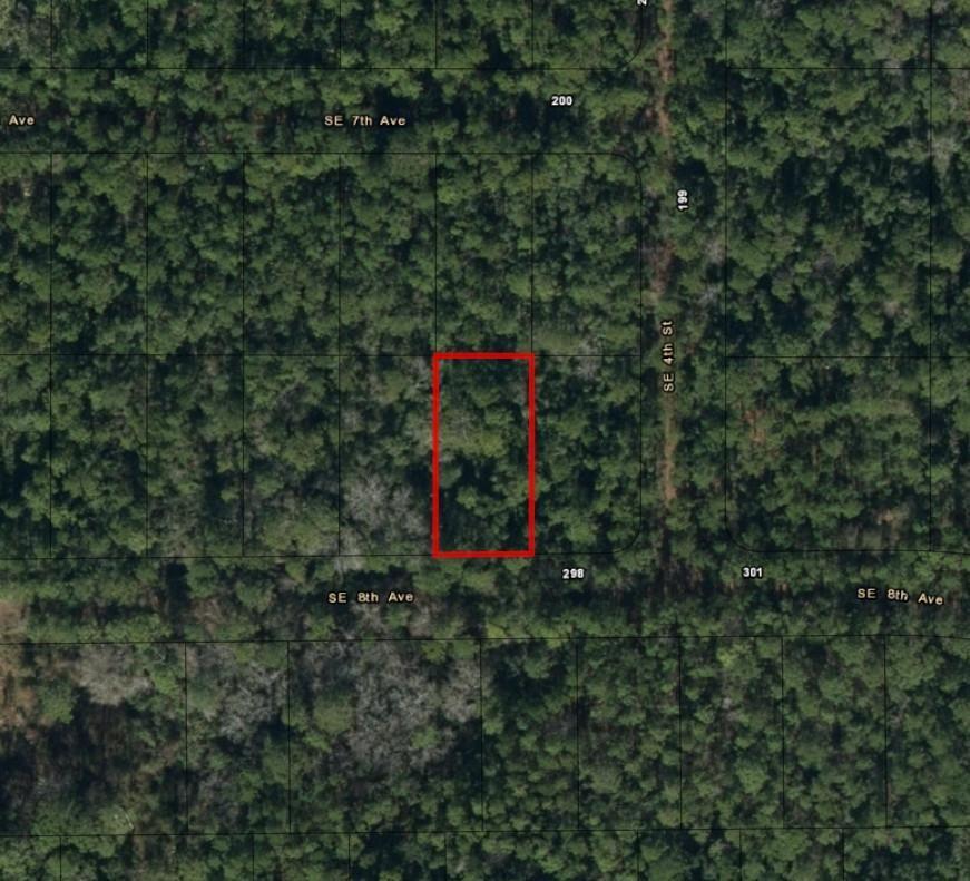 An aerial map view shows a rectangular plot of land outlined in red among trees — 224 SE 8th Avenue, Palatka FL 32177, PALATKA, FL