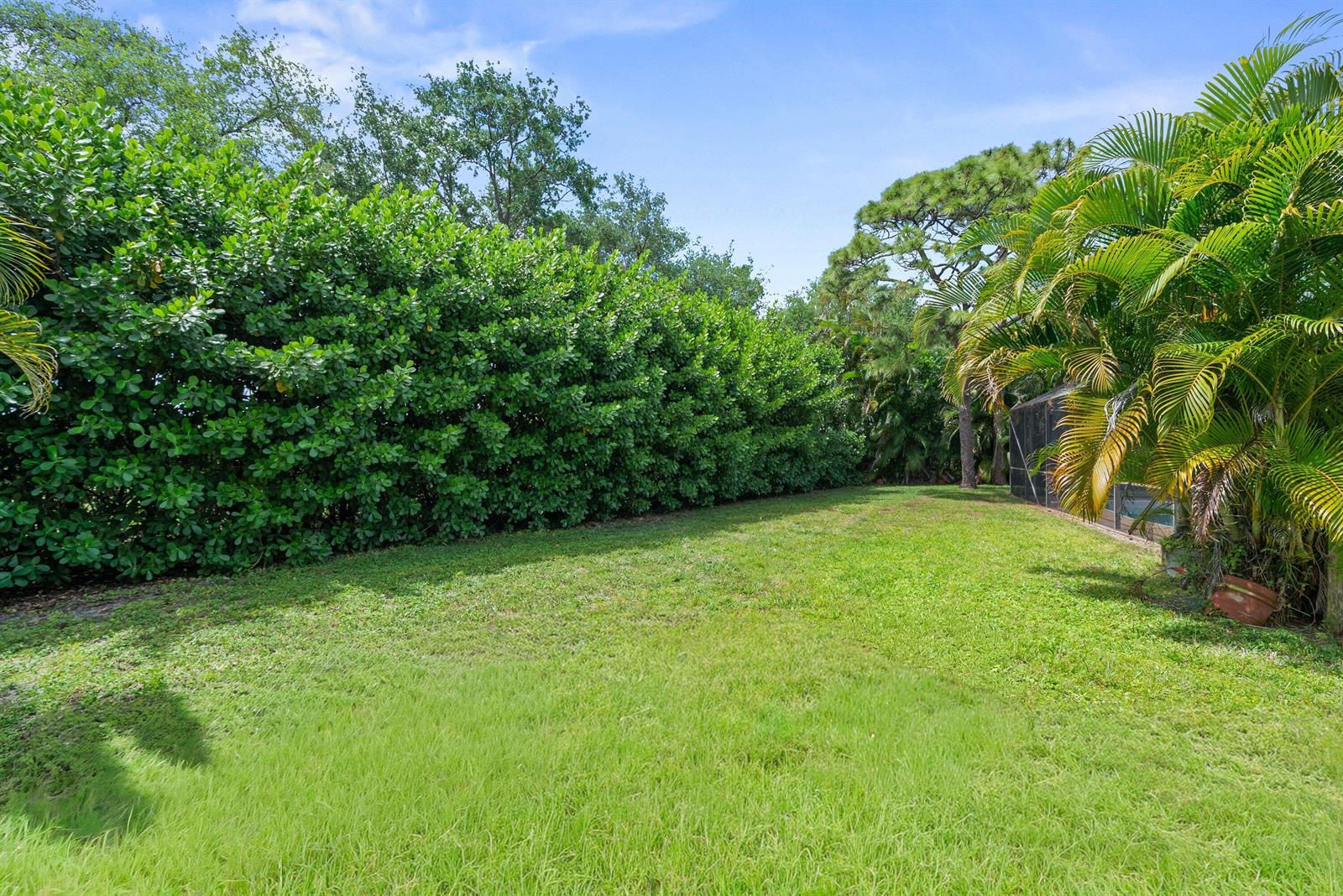 A grassy backyard features a tall hedge, palm trees, and a screened-in pool enclosure — 2493 Timbercreek Circle NW, Boca Raton FL 33431, BOCA RATON, FL