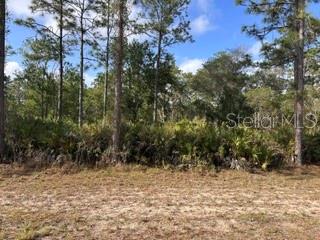 1013 (BLK 299 LOT 18) ALBA DRIVE