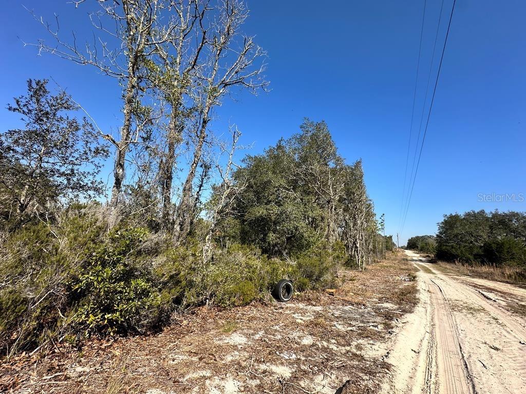 NE 63RD PLACE, WILLISTON, FL — photo 2 of 3