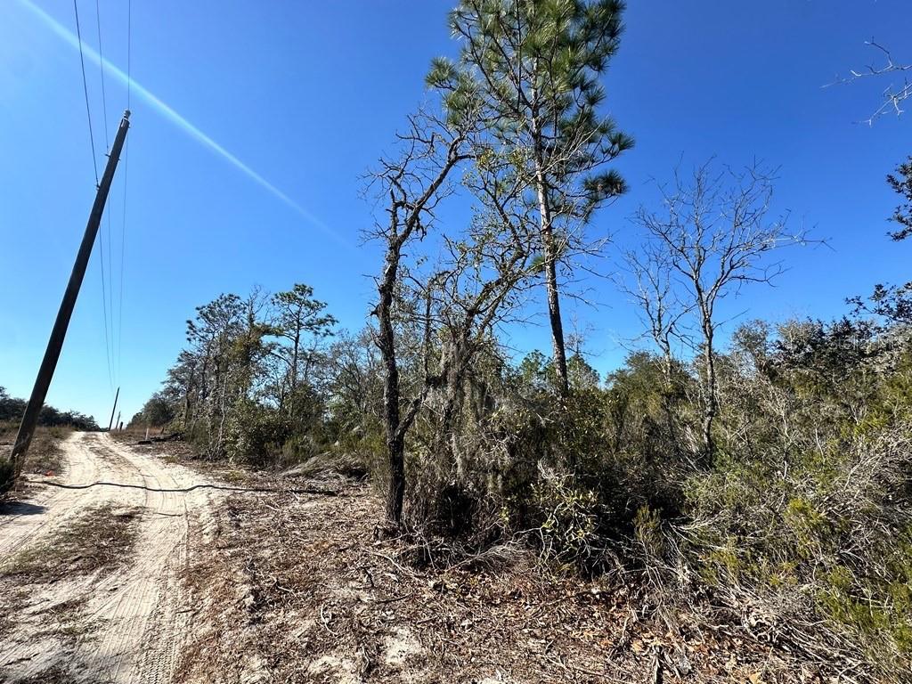 NE 63RD PLACE, WILLISTON, FL — photo 3 of 3