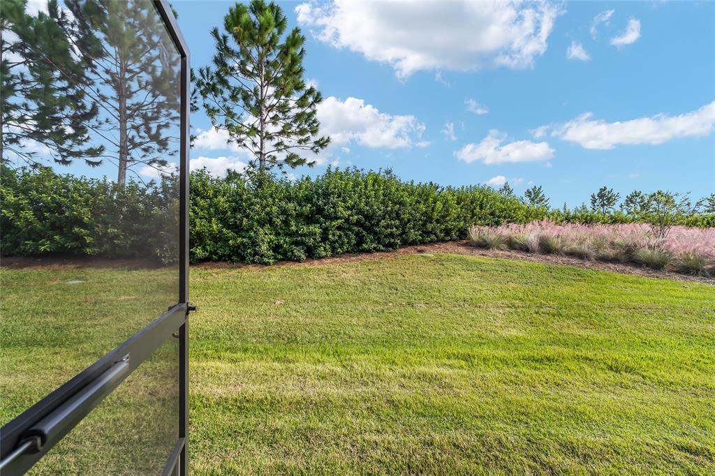 A view of a grassy backyard with a hedge and ornamental grasses from a screened-in porch — 6094 SW 93RD CIRCLE, OCALA, FL
