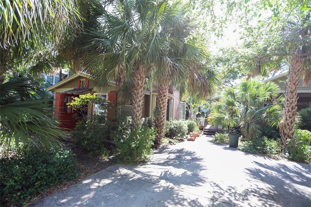 A driveway leads to a small house with red shutters surrounded by palm trees — 272 ORANGE STREET UNIT A-B, PALM HARBOR, FL