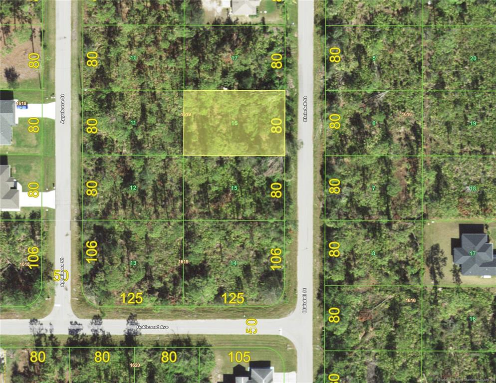 This is a map showing a highlighted vacant residential lot surrounded by wooded land — 1447 BLAISDELL STREET, PORT CHARLOTTE, FL
