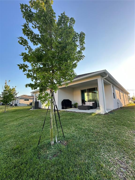 A backyard view of a house with a covered patio, a young tree, and lawn — 14827 MILFOIL AVENUE, ORLANDO, FL