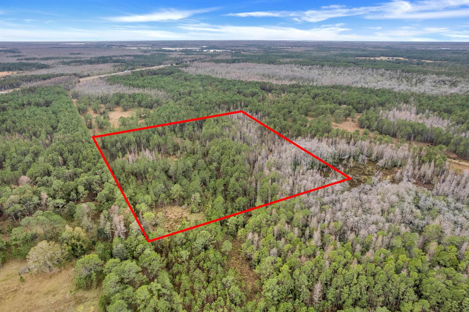 An aerial view shows a rectangular plot of forested land outlined in red — 000 No Street, FL 33868, FL
