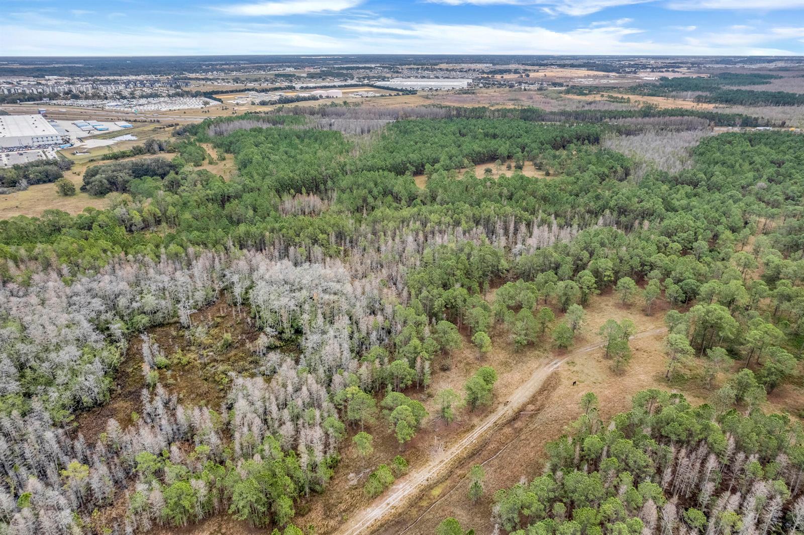 An aerial view shows a dirt path winding through a wooded area with sparse trees — 000 No Street, FL 33868, FL