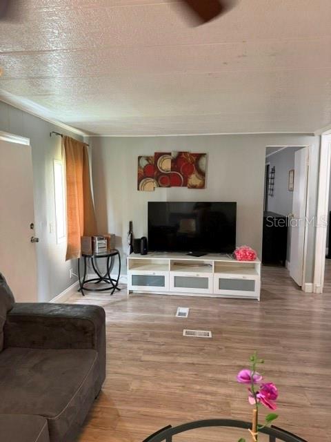 A living room features light wood-look flooring, a television on a white media console, and curtains — 6907 GIBRALTAR ROAD, ORLANDO, FL