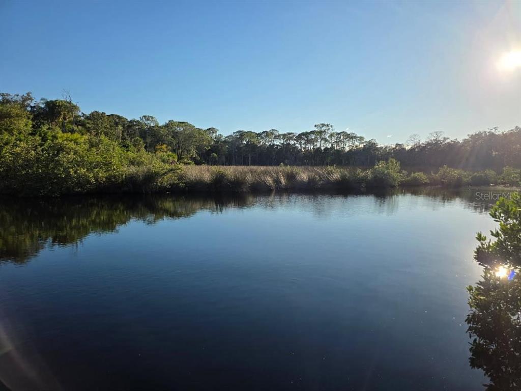 A calm body of water is bordered by marsh grasses and a dense line of trees — 18909 ARIPEKA ROAD, HUDSON, FL