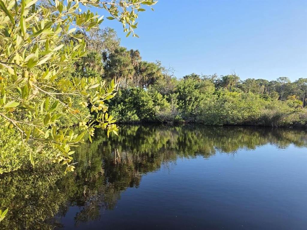 A view of a calm pond surrounded by dense green trees and foliage — 18909 ARIPEKA ROAD, HUDSON, FL