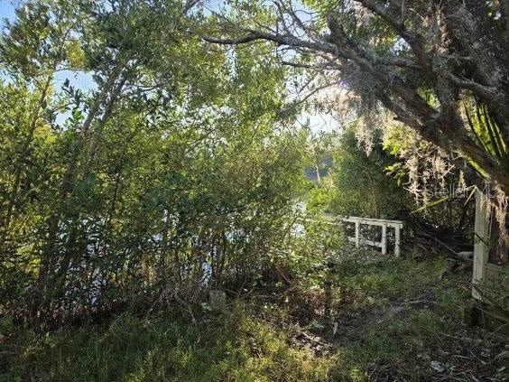 A wooden dock sits partially obscured by dense trees and foliage along a waterfront — 18909 ARIPEKA ROAD, HUDSON, FL