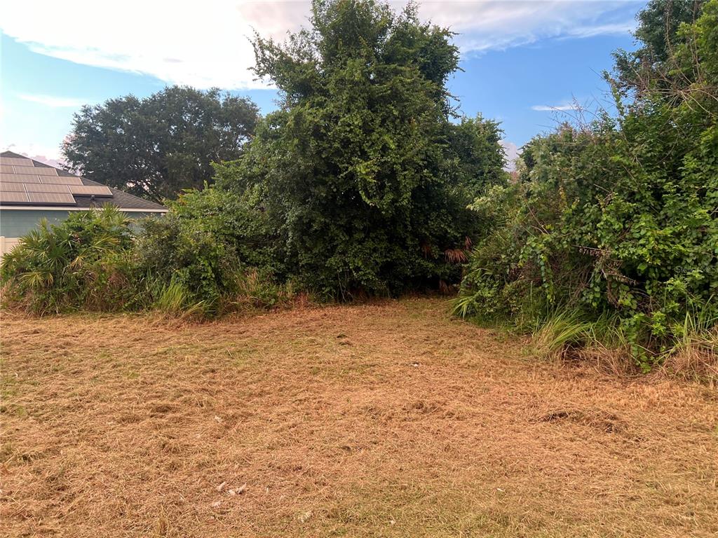 A mowed grassy lot features dense trees and shrubs with a house roof visible nearby — 808 HALIFAX DRIVE, KISSIMMEE, FL