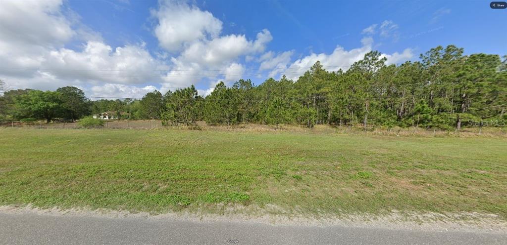 A grassy, vacant lot sits in front of a line of pine trees under a sky — COMMONWEALTH AVE N, POLK CITY, FL