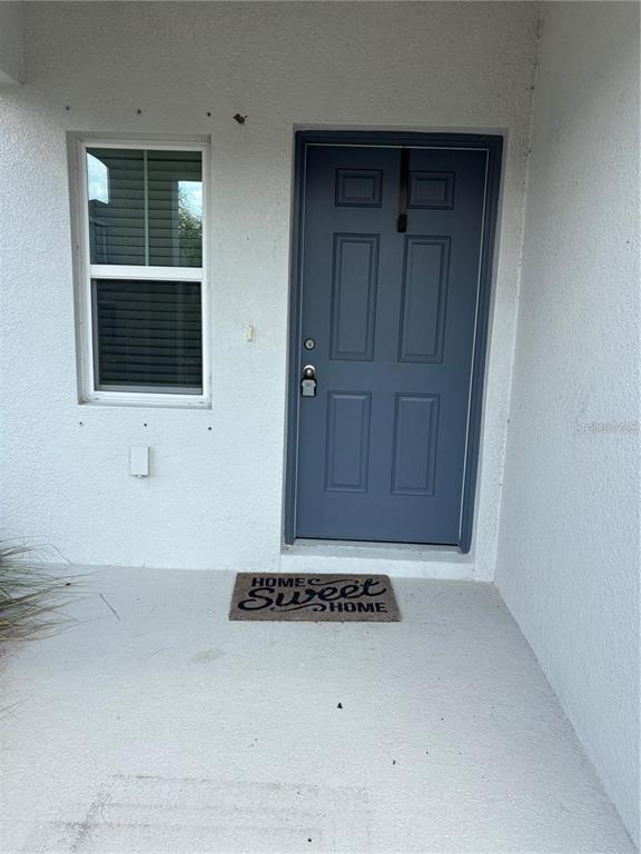 A blue front door and a window are set into a white stucco exterior wall — 11484 BROOK EDGE AVENUE, RIVERVIEW, FL