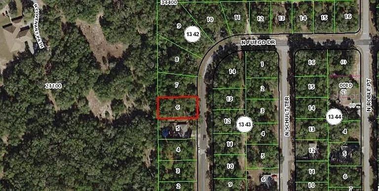 This is a satellite map showing a highlighted vacant residential lot in a wooded neighborhood — 11304 N FUEGO DRIVE, CITRUS SPRINGS, FL