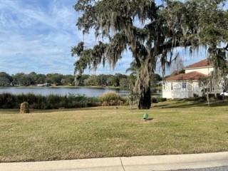 519 W BLUE WATER EDGE DRIVE, EUSTIS, FL — photo 3 of 3