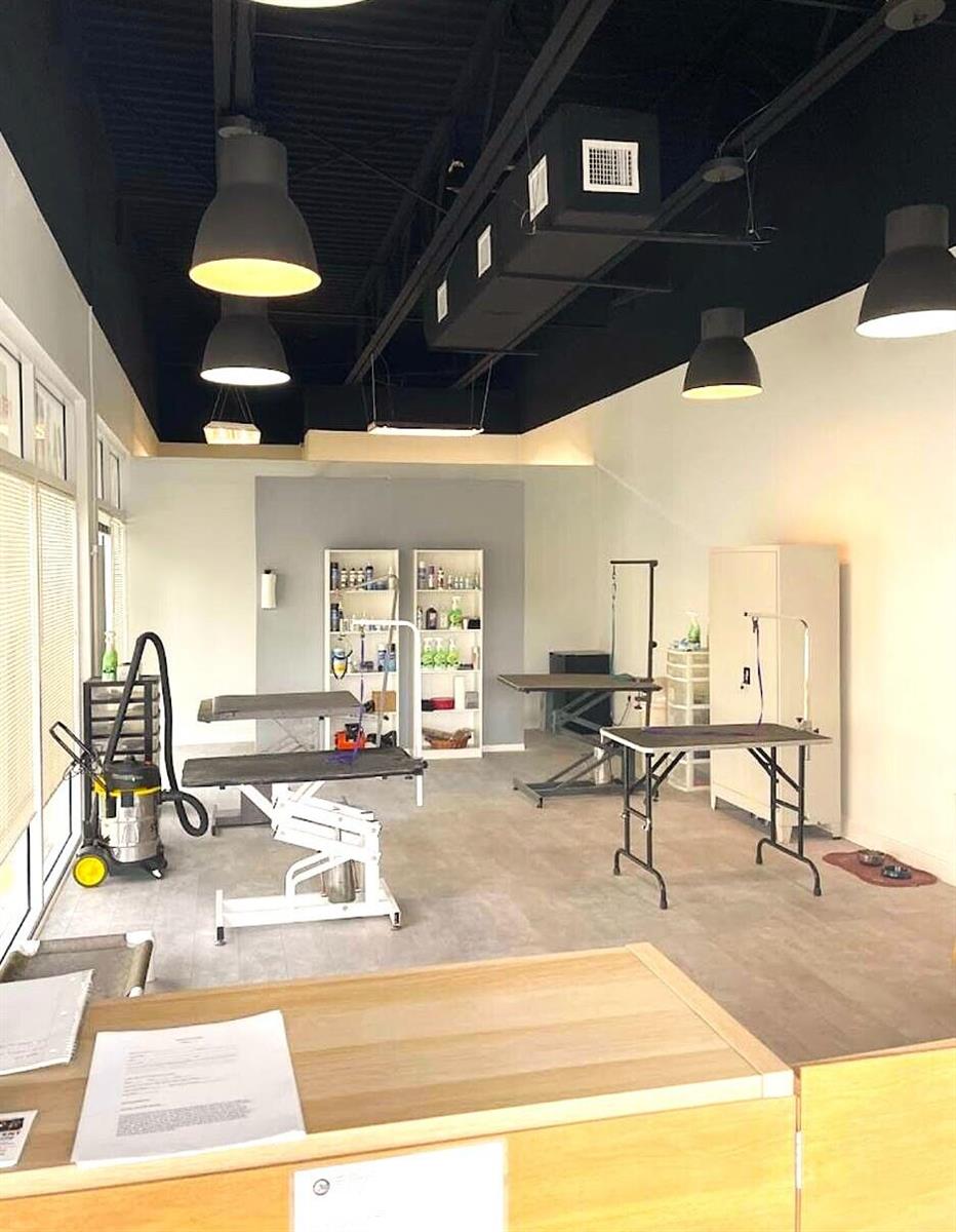 A commercial pet grooming space features multiple grooming tables, storage shelving, and industrial pendant lighting — 6676 Stirling Road, Hollywood FL 33024, HOLLYWOOD, FL