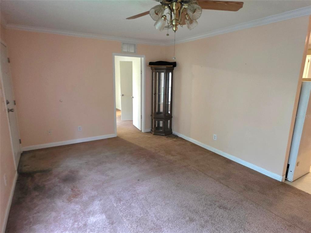 A carpeted room with peach walls, a ceiling fan, and a corner display cabinet — 14263 ANNUTALAGA AVENUE, BROOKSVILLE, FL
